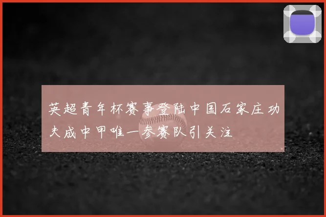 英超青年杯赛事登陆中国石家庄功夫成中甲唯一参赛队引关注