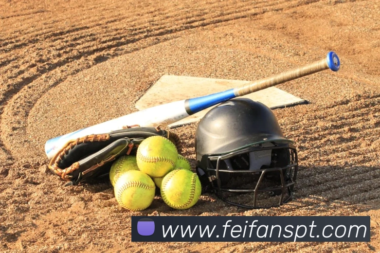 App Interface Preview