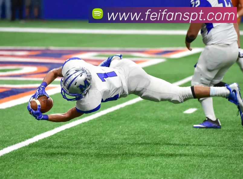 非凡体育APP 封面图